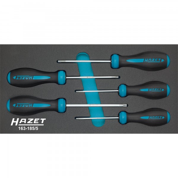 Hazet 163-185/5 HEXAnamic® screwdriver set